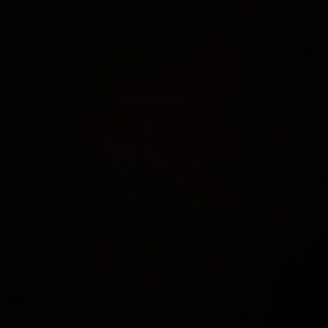 Meet your Posher, Zack